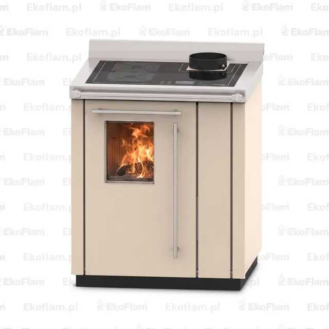 Wood-burning cooker Thermorossi Bosky 30 Square steel beige