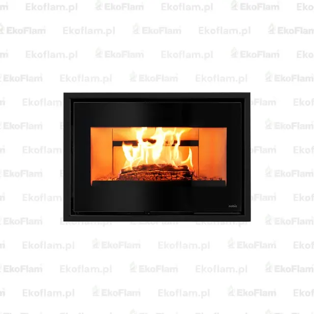 Wood-burning insert Nobis Efrem 800/55