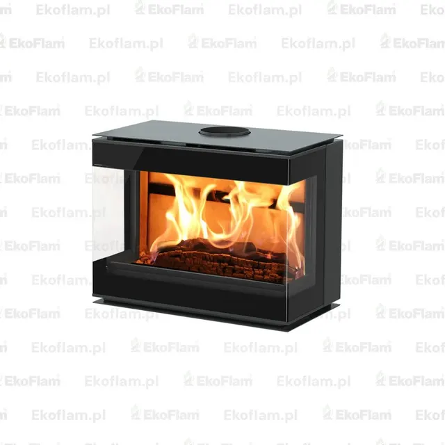 Wood-burning insert Nobis Efrem View 800/55