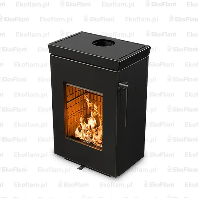 Wood-burning stove Thermorossi Zen